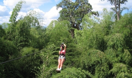 Canopy