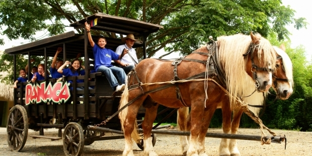 Panaca - Foto: turistear.com.co