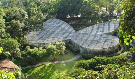 Jardín Botánico – Mariposario