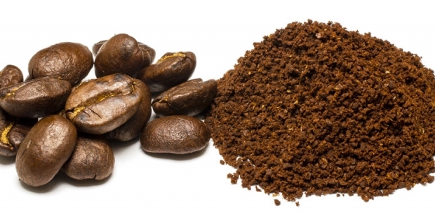 Cafés especiales